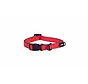 Dog Collar Amphibian Red