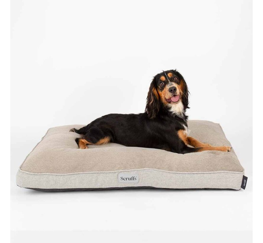 Orthopedic Dog Cushion Harvard Memory Foam Beige