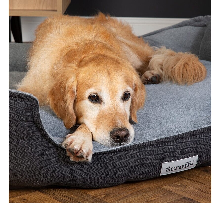 Orthopedic Dog Bed Harvard Memory Foam Grey