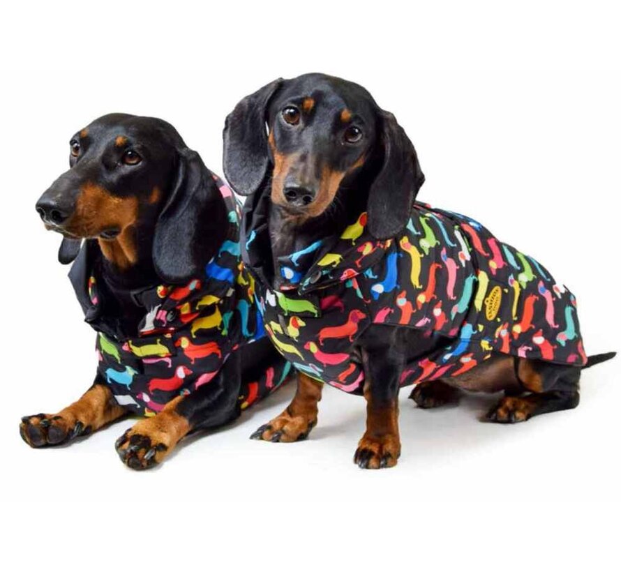 Dog Coat Dachshund Multi Colour