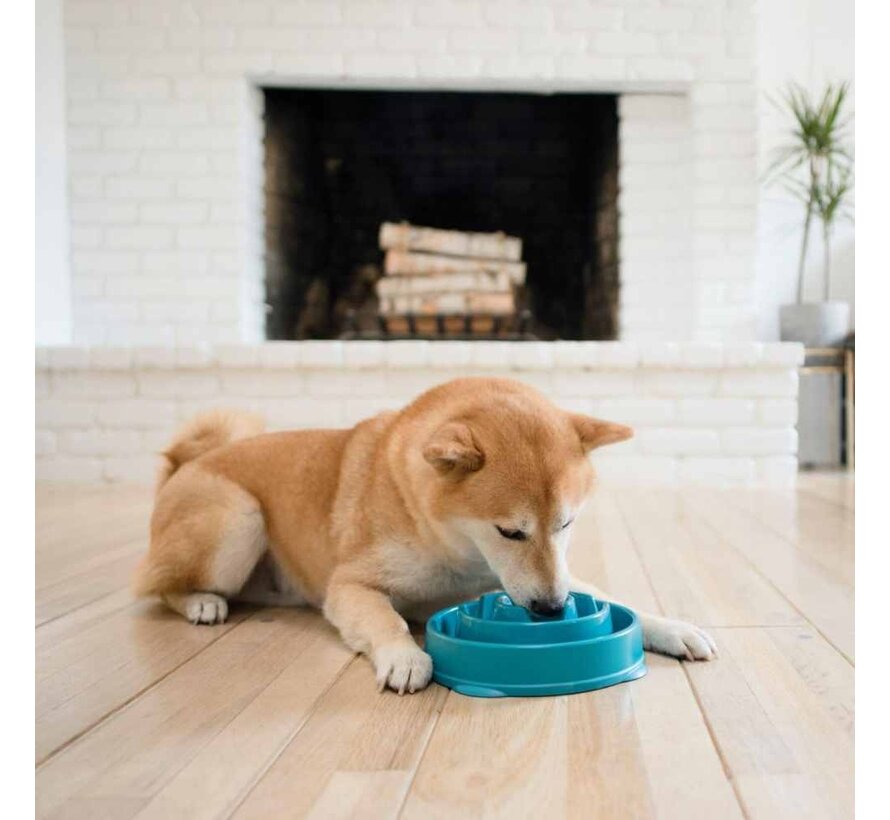 Slow Bowl Fun Feeder Turquoise