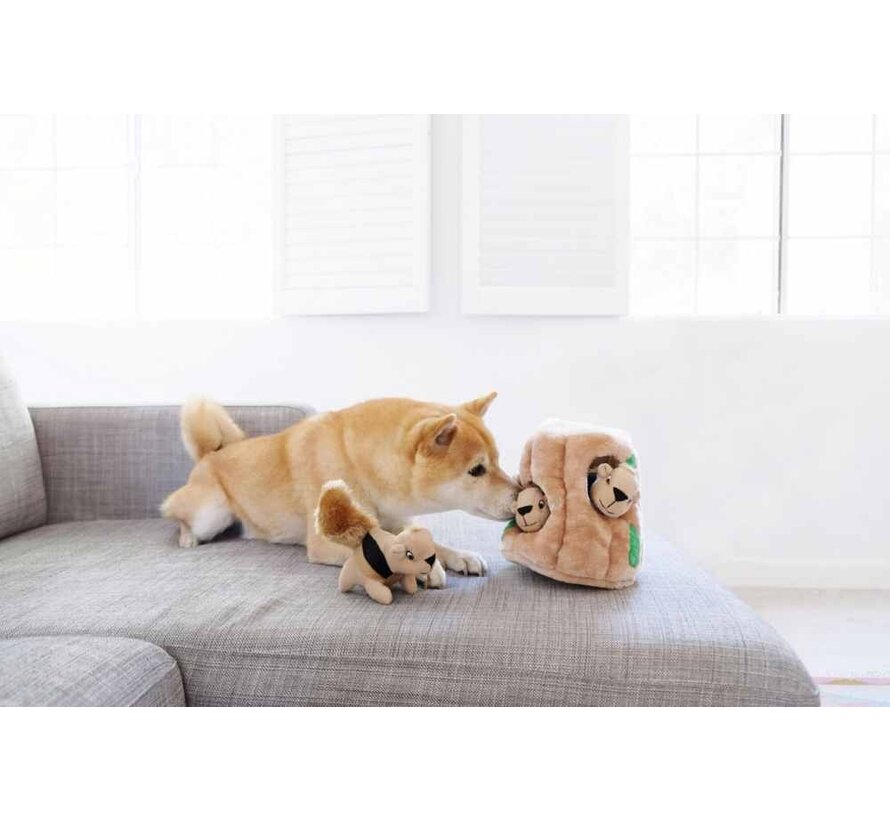 Dog Toy Hide A Squirrel