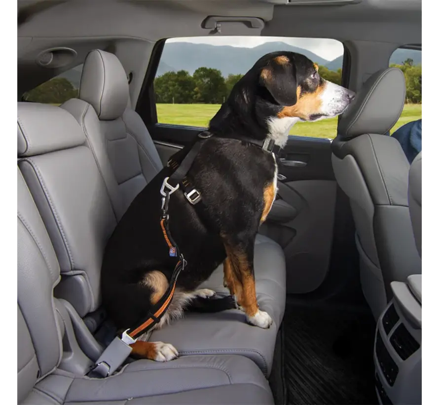 Seat leash for car seat belt Swivel orange