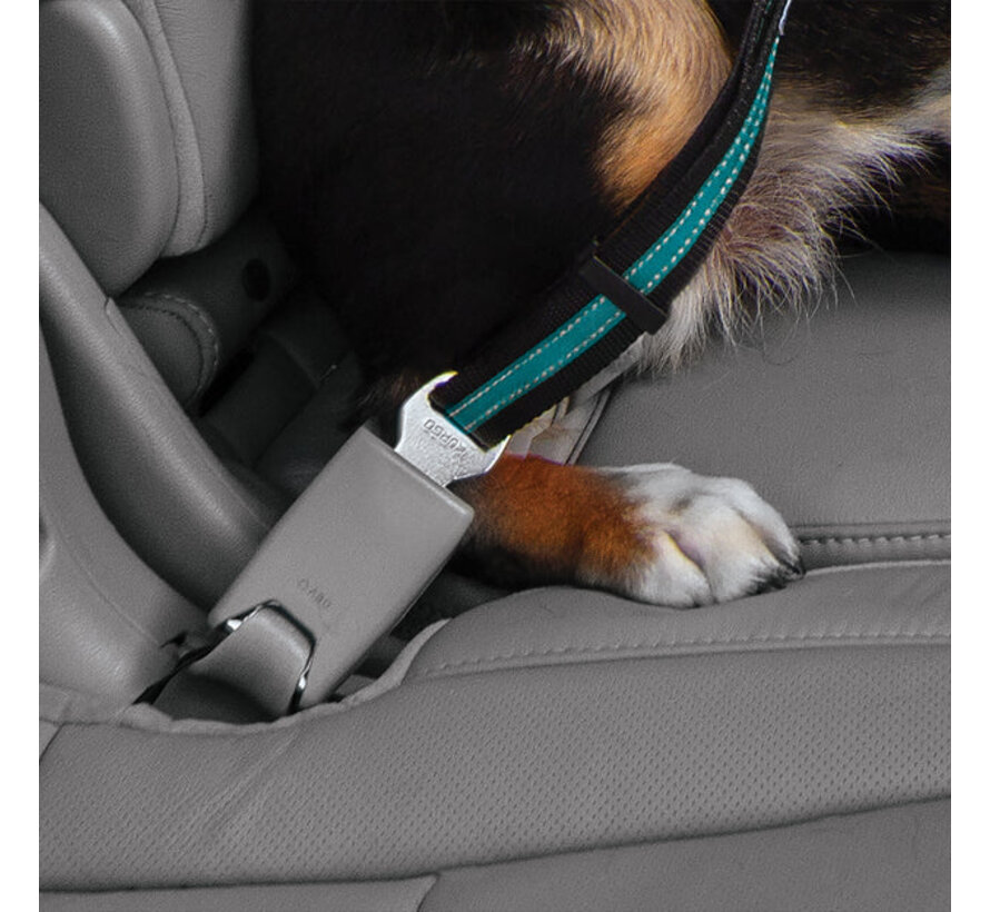 Seat leash for car seat belt Swivel Blue