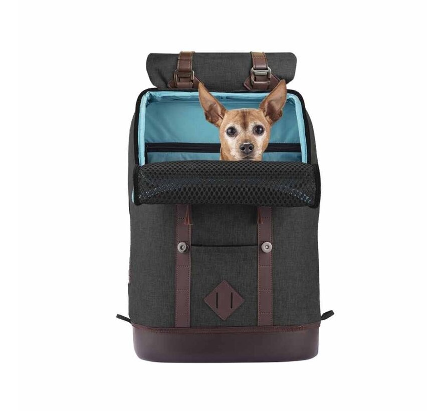 Dog Backpack K9 Rucksack Black