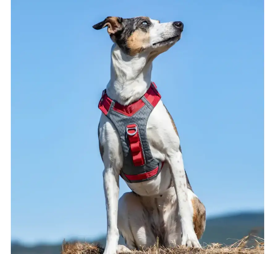 Dog Harness Journey Air Red