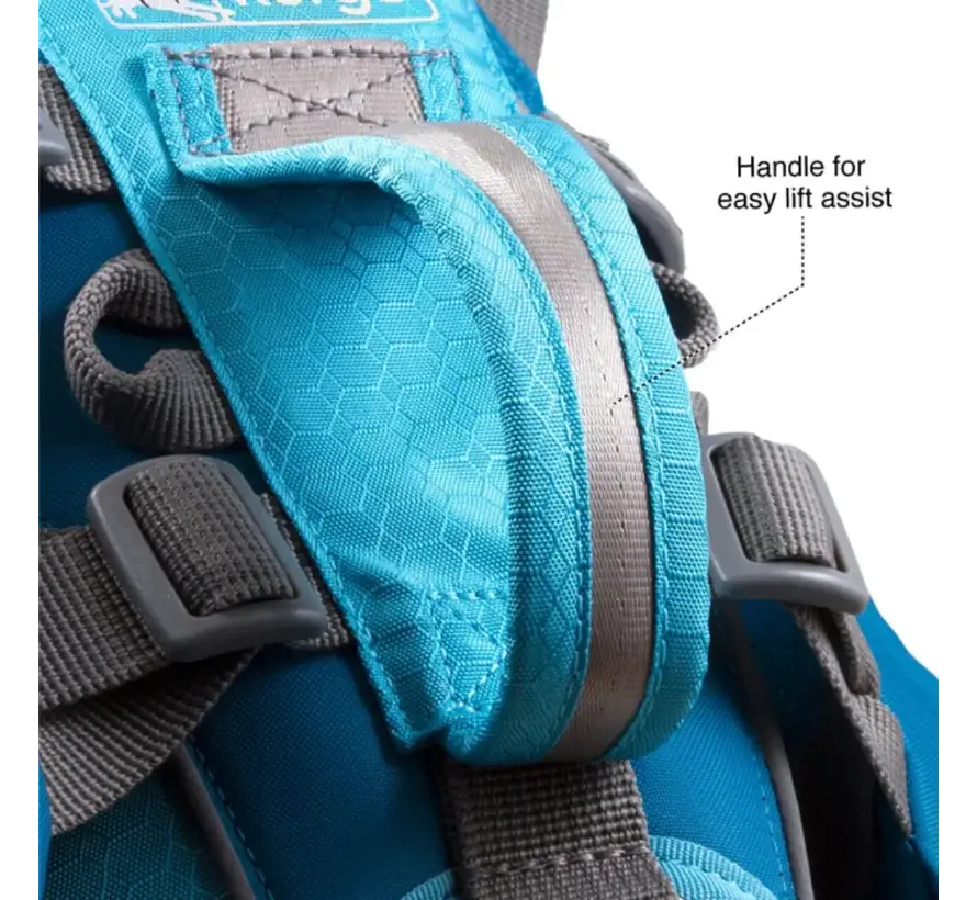 Hondendraagtas Rugzak Baxter Blauw