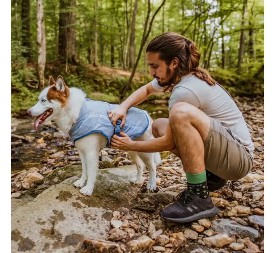 Cooling Vest Dog Core