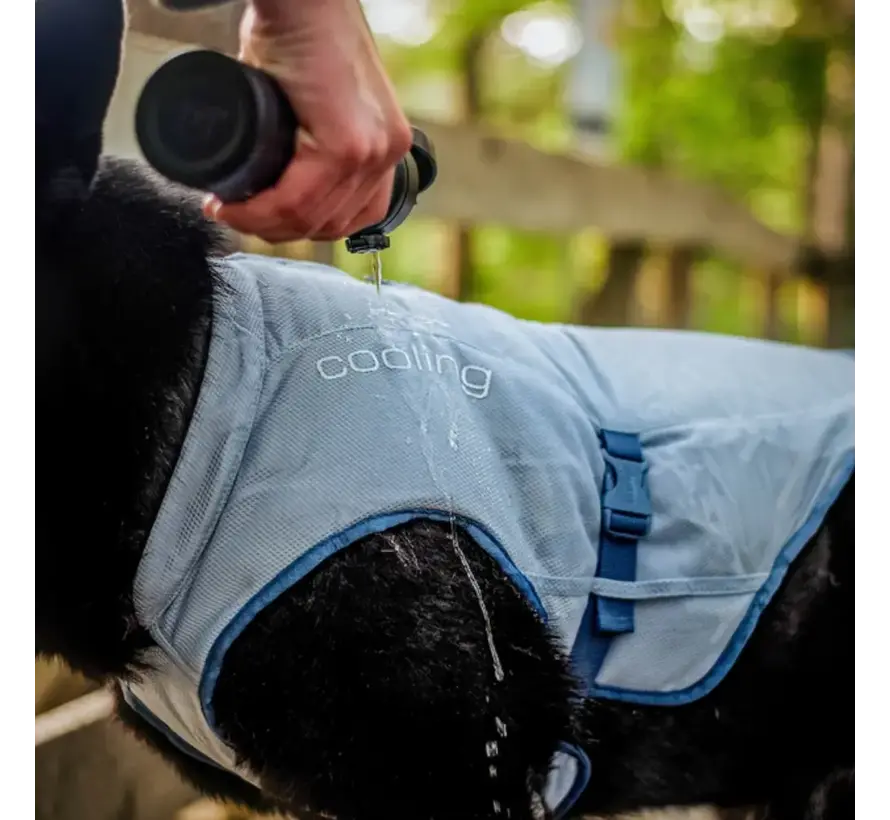 Cooling Vest Dog Core