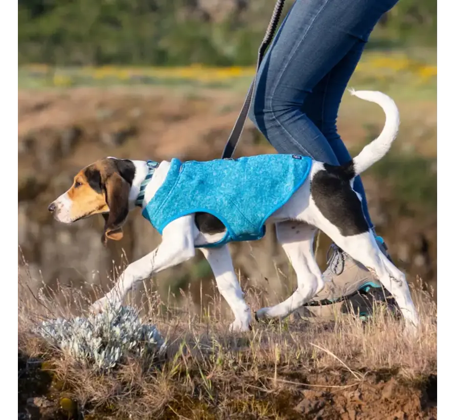 Dog Sweater Core Sweater Blue