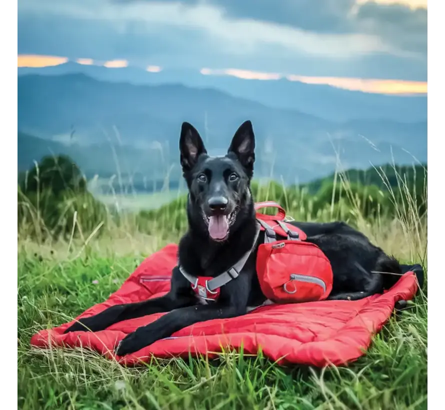 Foldable Dog Blanket Loft Wander Bed