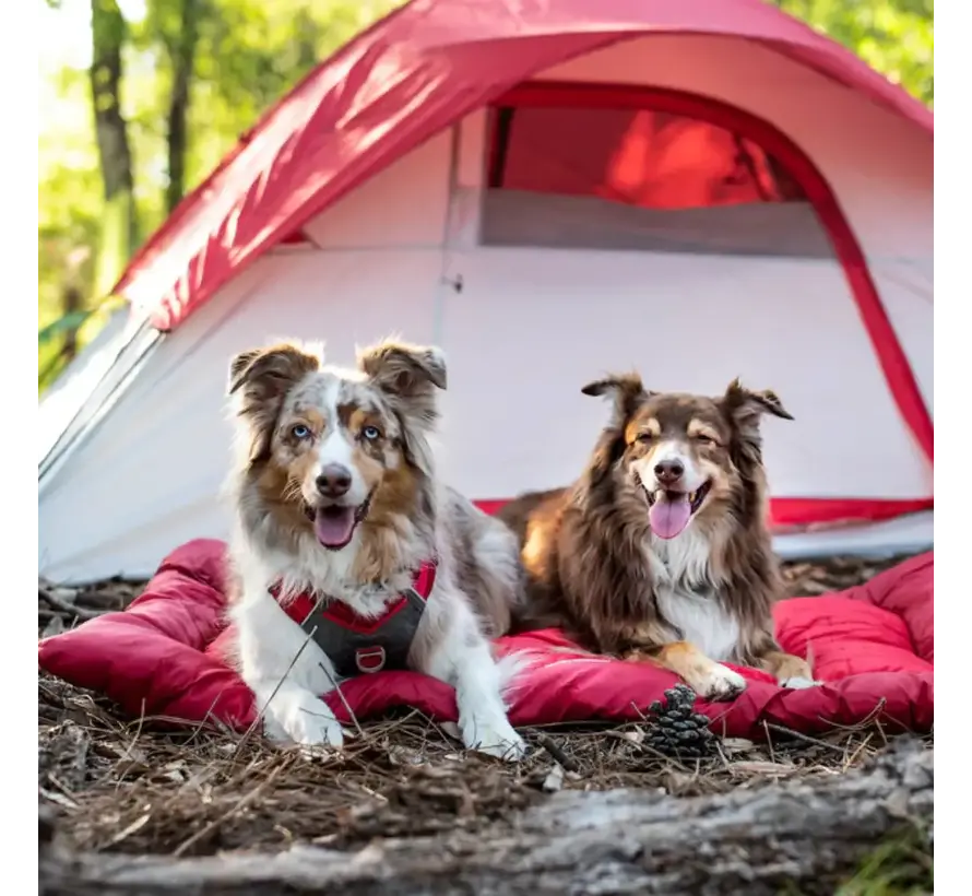 Foldable Dog Blanket Loft Wander Bed