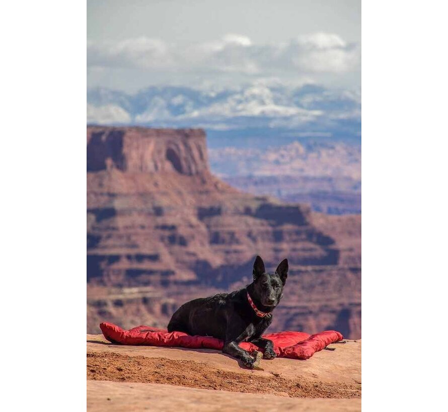 Foldable Dog Blanket Loft Wander Bed