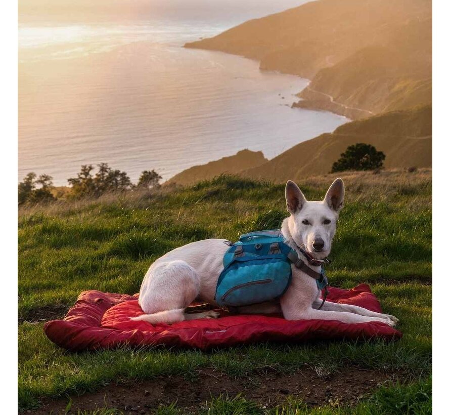 Foldable Dog Blanket Loft Wander Bed