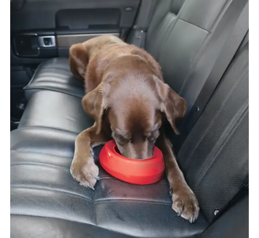 Splash Free Wander Dog Water Bowl Blue