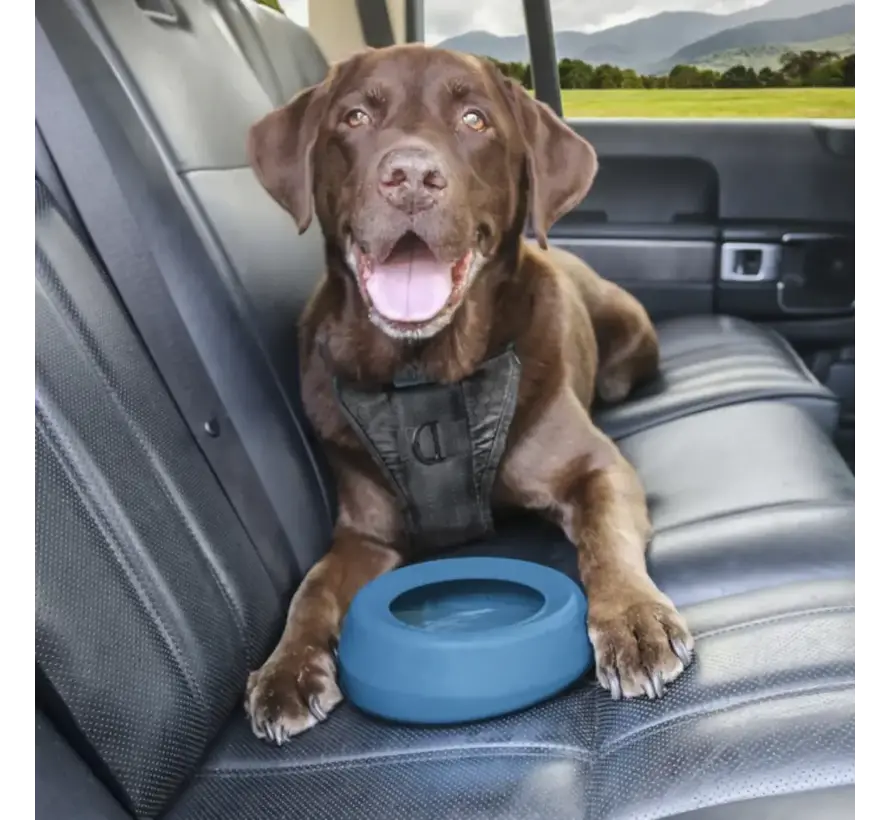 Drinkbak Splash Free Bowl Blauw