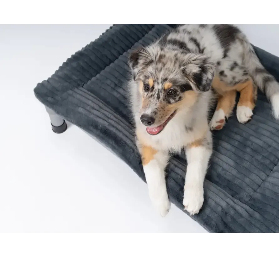 Dog Blanket Harmony for High Bed