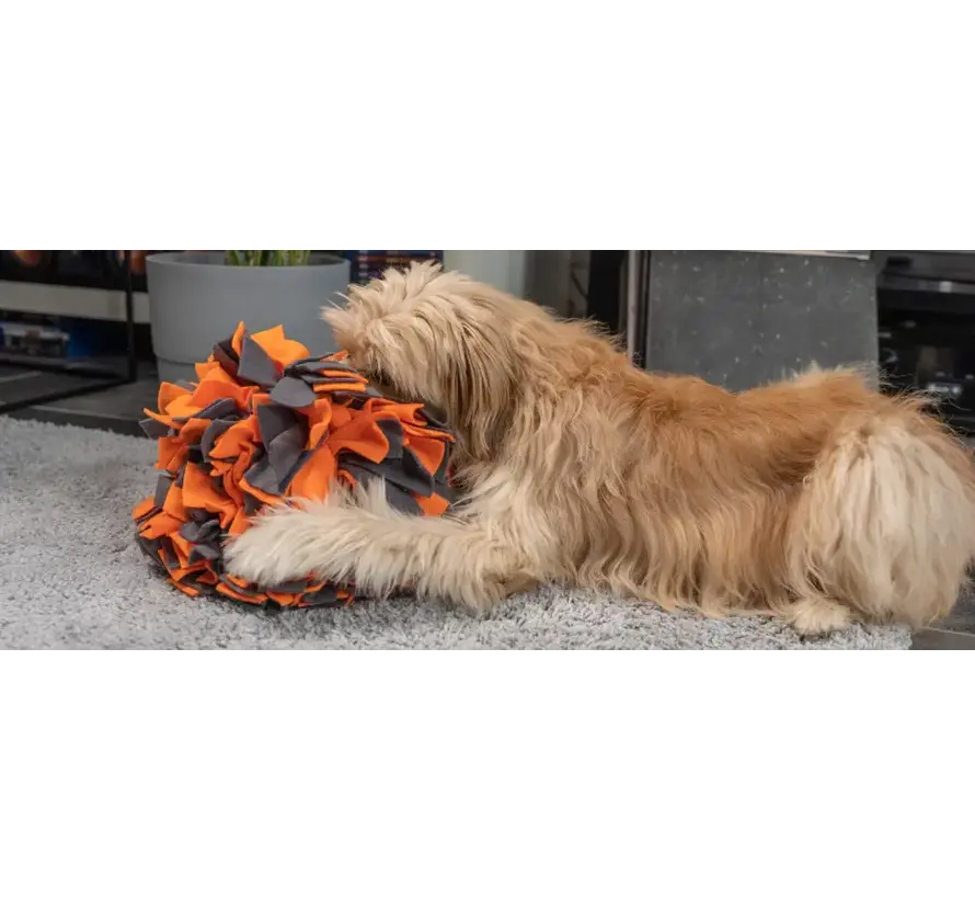 Hondenspeelgoed Snuffelbal Oranje