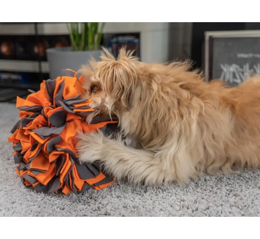 Dog Toy Snuffle Ball Orange