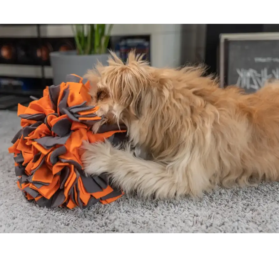 Hondenspeelgoed Snuffelbal Oranje