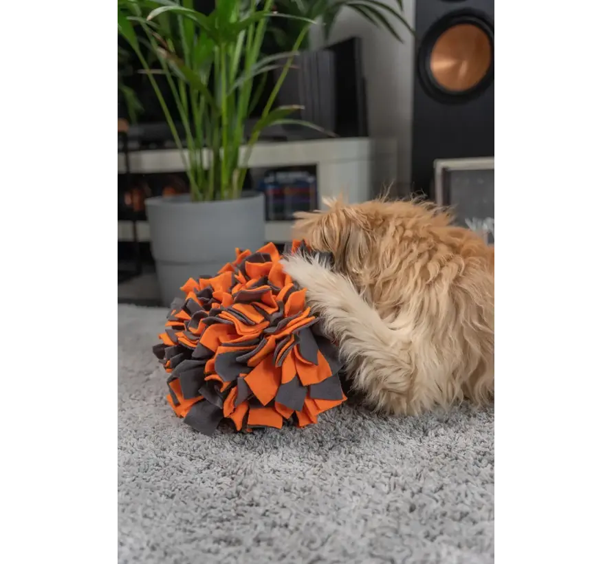 Dog Toy Snuffle Ball Orange
