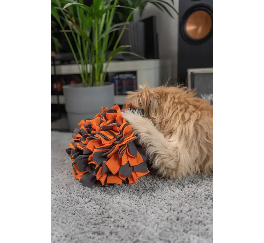 Hondenspeelgoed Snuffelbal Oranje