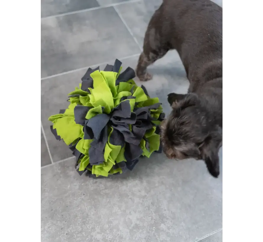 Dog Toy Snuffle Ball Green