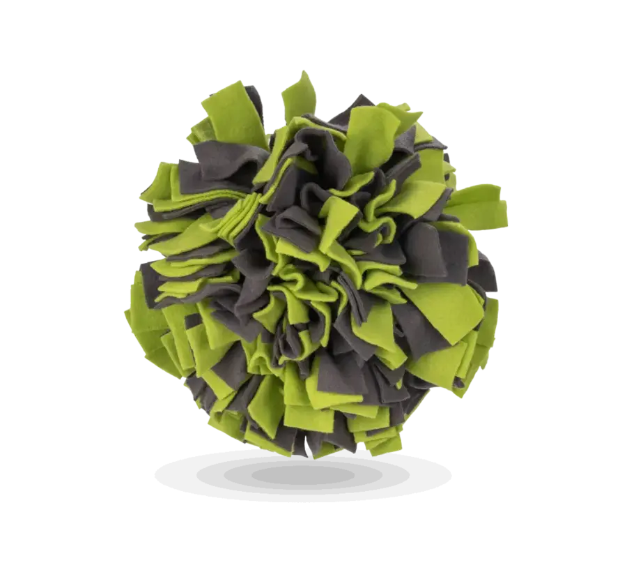 Hondenspeelgoed Snuffelbal Groen