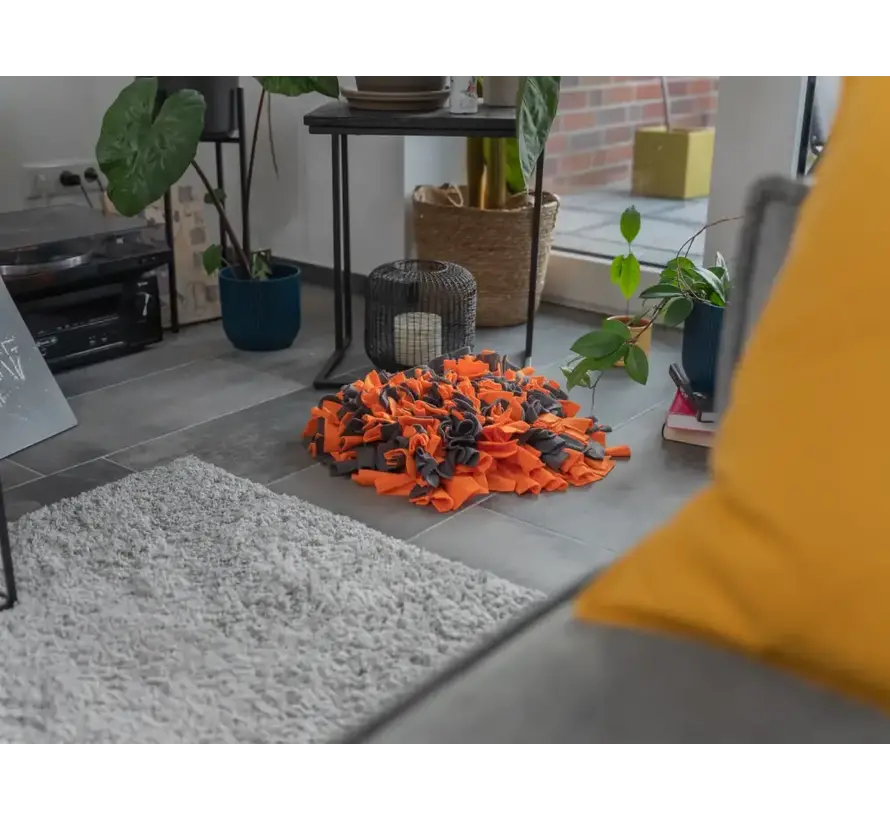 Hondenspeelgoed Snuffelmat Oranje