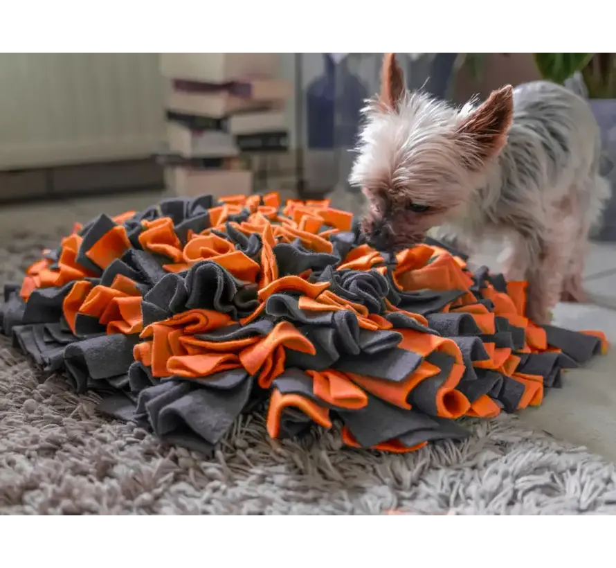 Dog Toy Snuffle Ball Orange