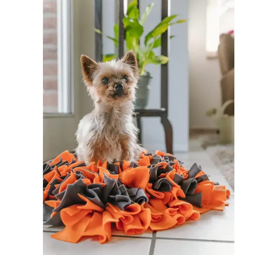 Dog Toy Snuffle Ball Orange