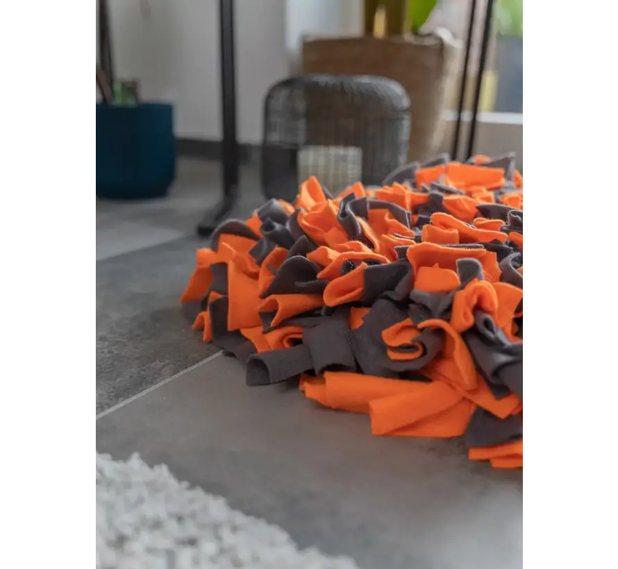 Dog Toy Snuffle Ball Orange