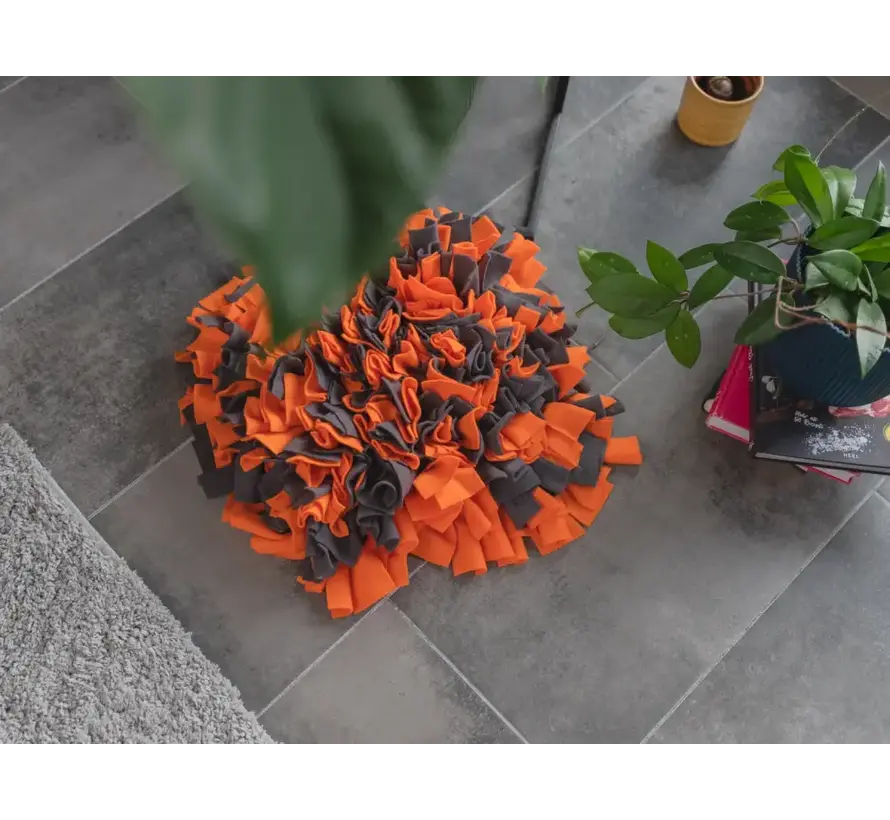 Hondenspeelgoed Snuffelmat Oranje