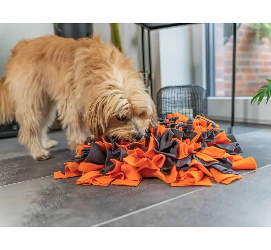 Hondenspeelgoed Snuffelbal Oranje