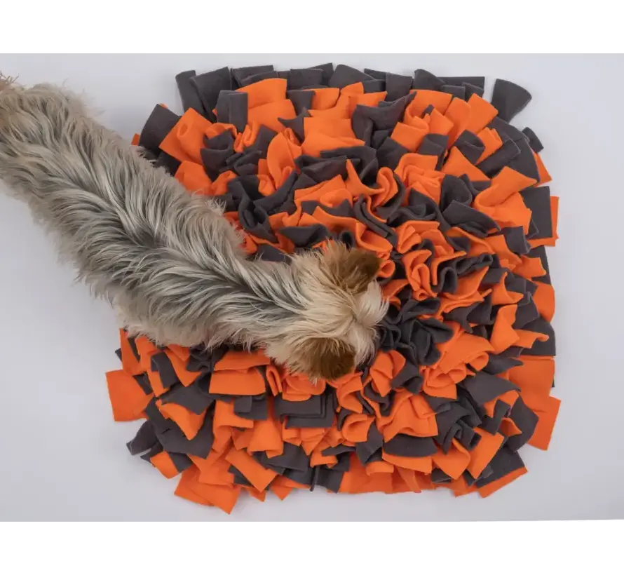 Hondenspeelgoed Snuffelmat Oranje