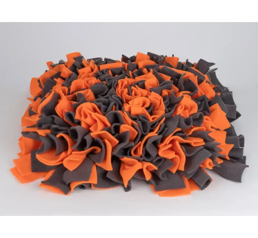 Dog Toy Snuffle Ball Orange