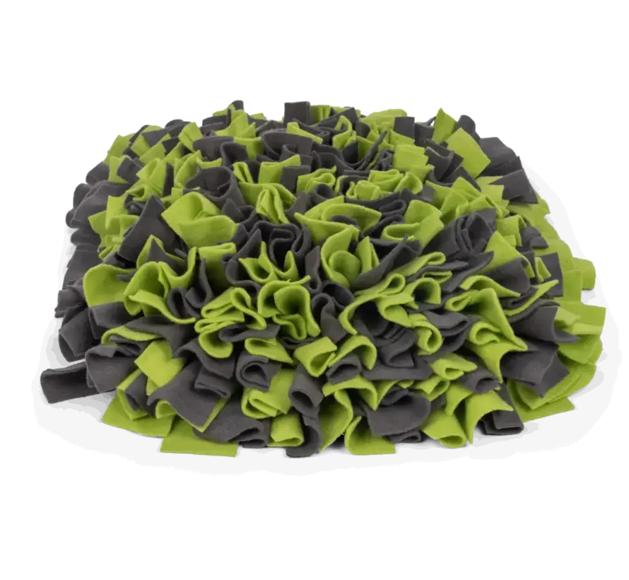 Dog Toy Snuffle Ball Green