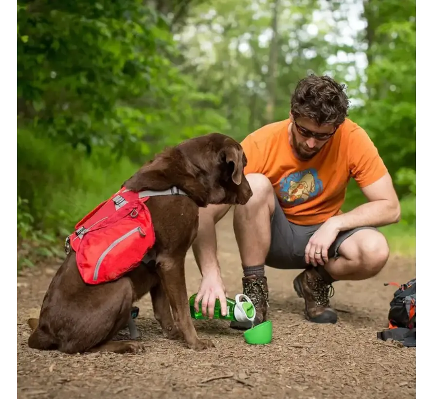 Dog Water Bottle Gourd Green
