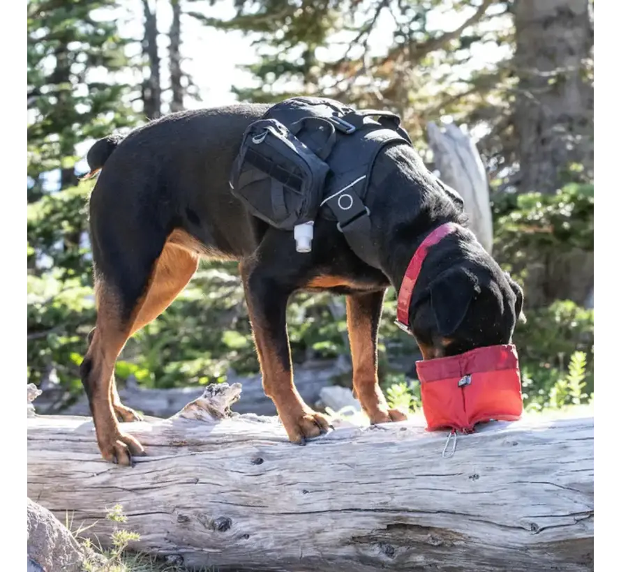 Opvouwbare Voerbak Zippy Bowl Rood