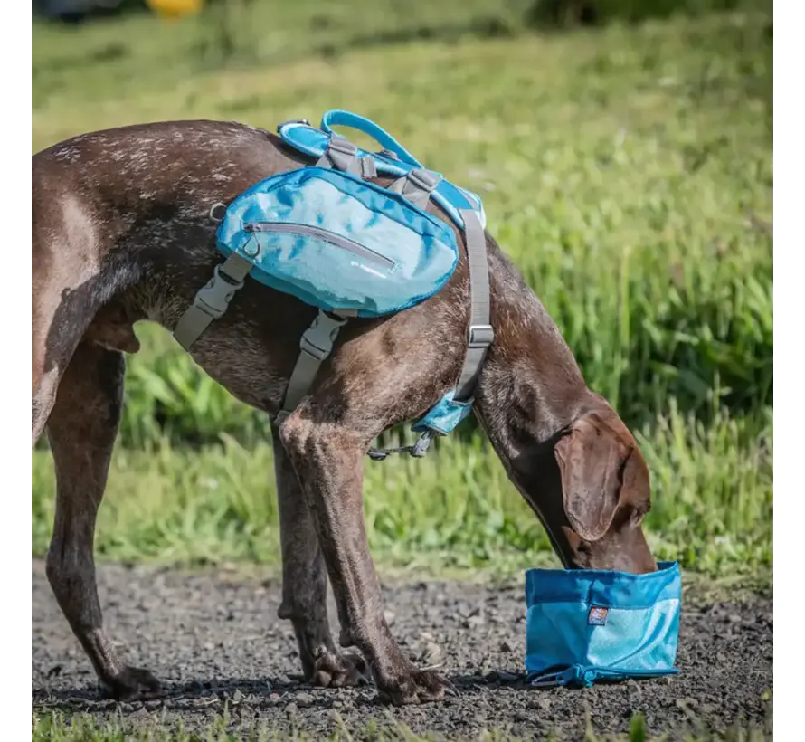 Zippy Collapsible Dog Bowl Blue