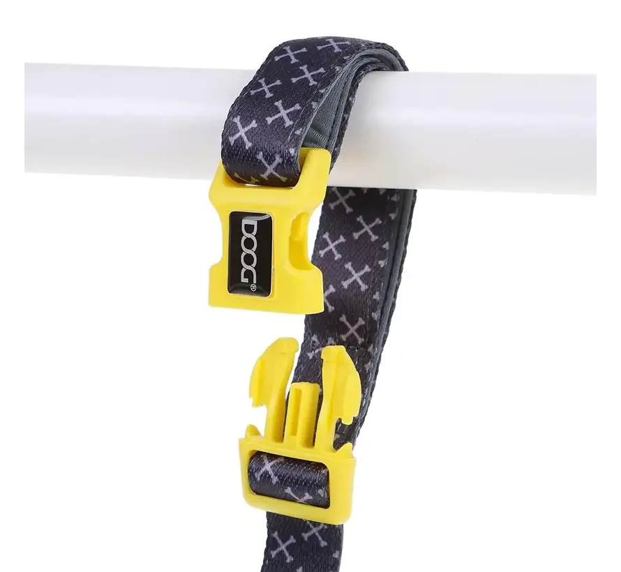 Dog Leash Neoprene Clip It Odie