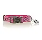 Dog Collar Neoprene Toto