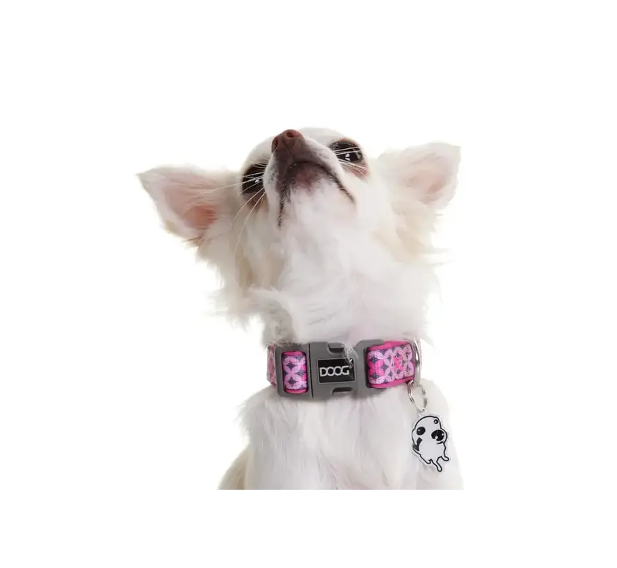 Dog Collar Neoprene Toto