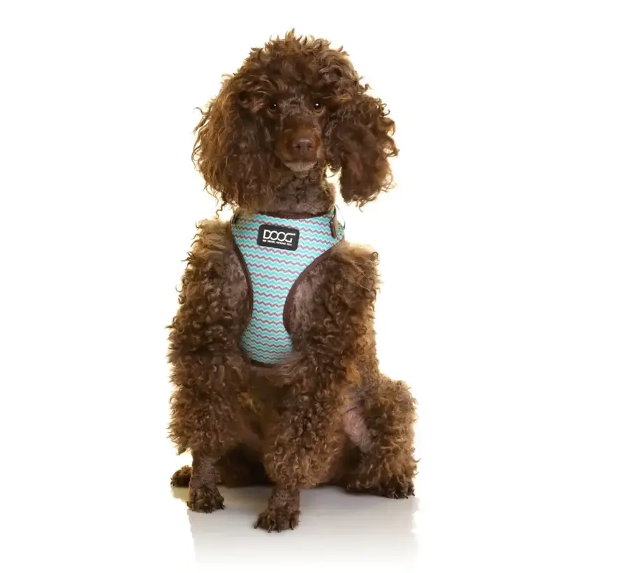 Dog Harness Neon Benji