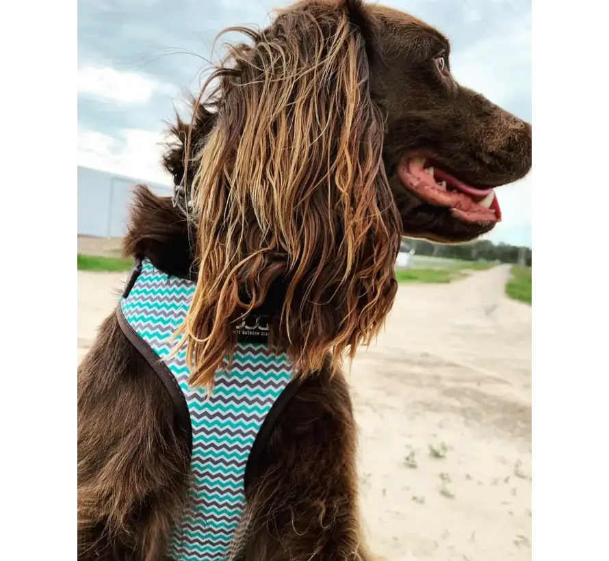 Dog Harness Neon Benji