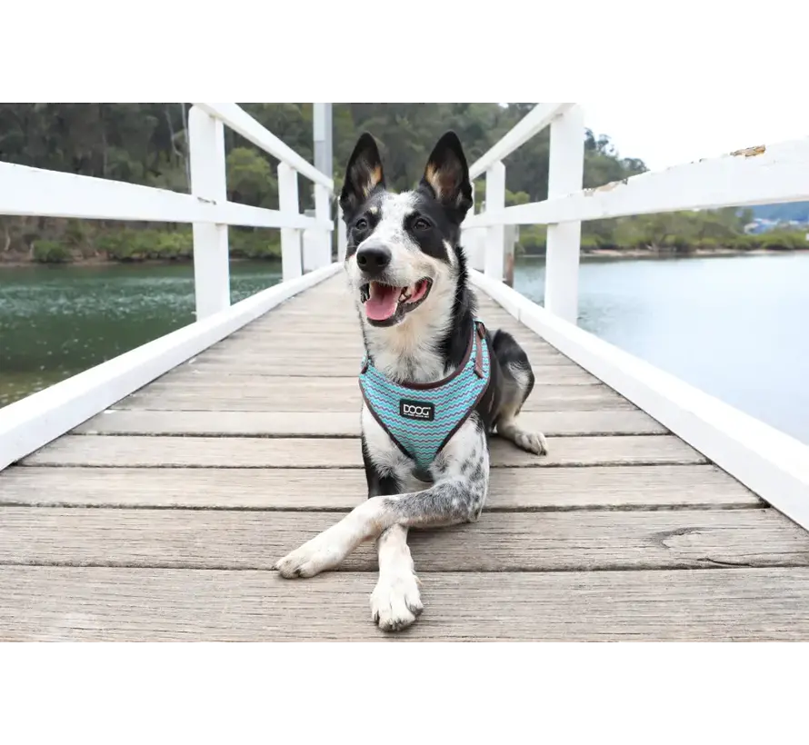 Dog Harness NeoflexNeon Benji