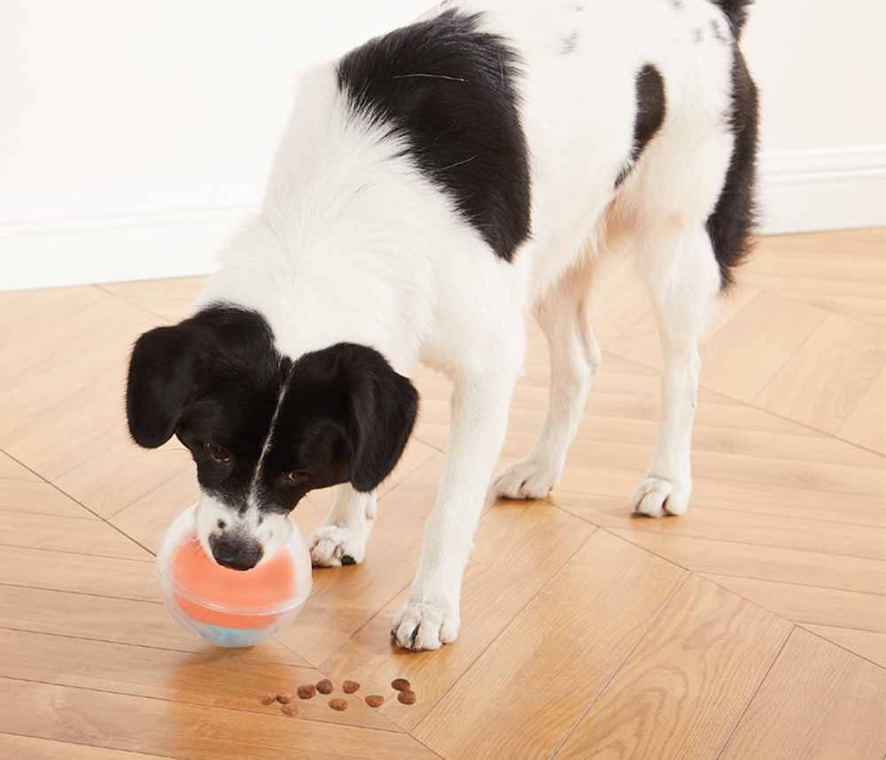 Afbeelding Hondenpuzzel Dog Rumble door Petsonline