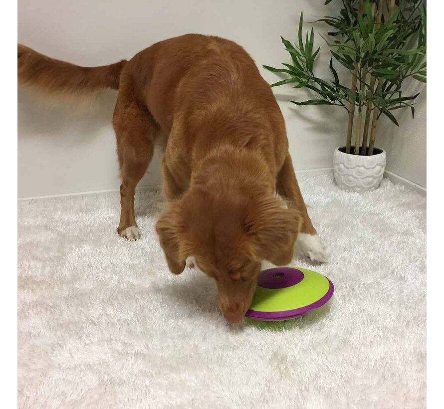 Dog Puzzle Treat Maze