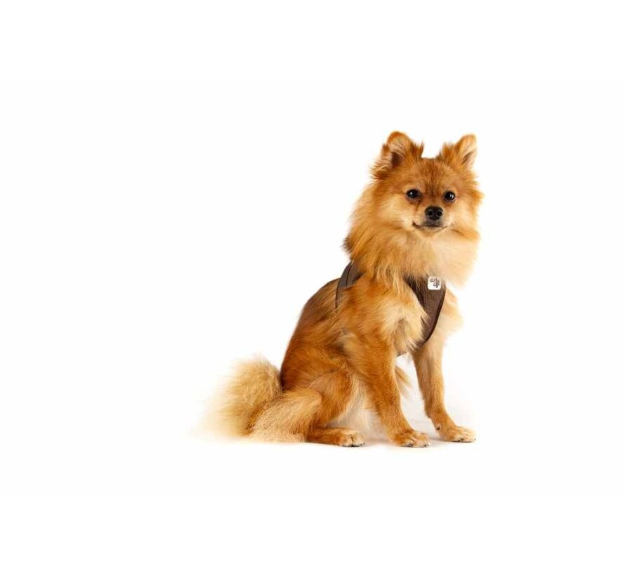 Dog Harness Clasp Cord Brown