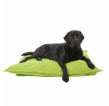 Lex & Max Dog Cushion Tivoli Lime